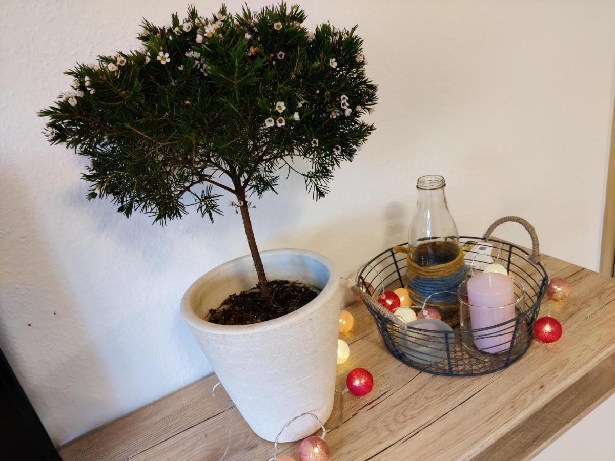 Ferienwohnung Brunow "In Der Natur Zuhause" Neundorf  외부 사진
