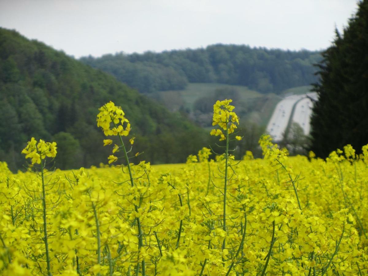 Ferienwohnung Brunow "In Der Natur Zuhause" Neundorf  외부 사진